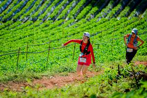 BIB: 3240, 2314
                            <button type="button" onclick="openModal(19163481)" class="btn btn-primary btn-sm float-right btn-popup" data-toggle="modal" data-target=".modal-high-quality">
                        <i class="fas fa-shopping-cart"></i> Add to Cart
                    </button>
                                            <button type="button" onclick="isThisMe(19163481, true)" class="btn btn-success btn-sm float-right btn-popup btn-isme hidden" data-toggle="tooltip" data-placement="bottom" title="นี่คือรูปของคุณใช่ไหม คลิกที่นี่เพื่อเอาเข้าอัลบั้ม">
                        <i class="fas fa-plus"></i> Add to album
                    </button>
                    <button type="button" onclick="isThisMe(19163481, false)" class="btn btn-warning btn-sm float-right btn-popup btn-isnotme hidden">
                        <i class="fas fa-ban"></i> Remove from album
                    </button>